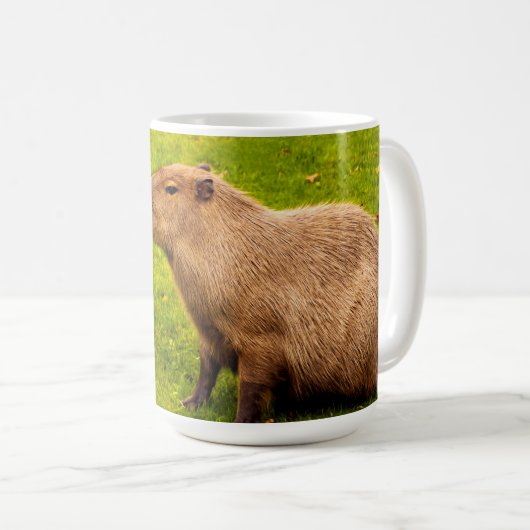 Mug Capybara (Devant droit)