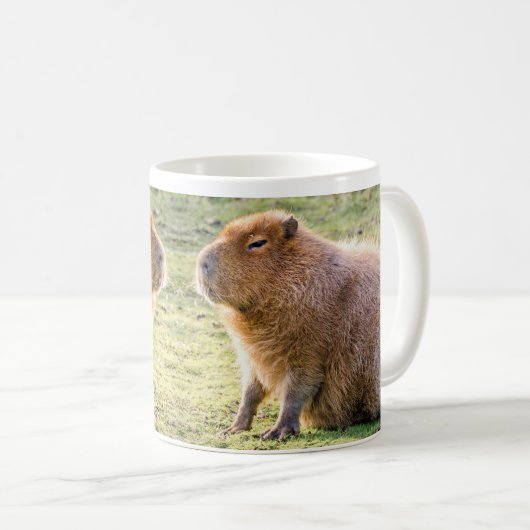 Mug Capybara (Devant droit)