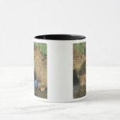 Mug Capybara, Hydrochaeris hydrochaeris), monde (Centre)