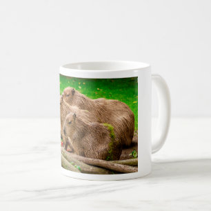 Mug Capybara Trio
