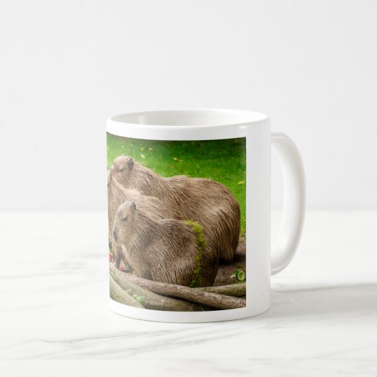 Mug Capybara Trio (Devant droit)
