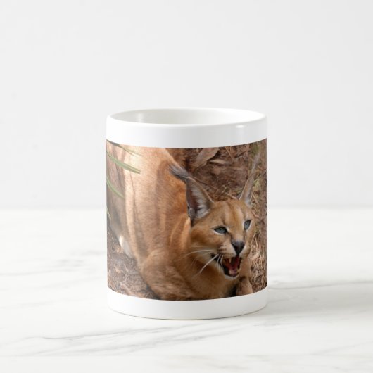 Mug CaracalBCR004 (Centre)