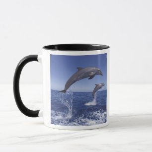 Mug Caraïbes, dauphins à gros nez
