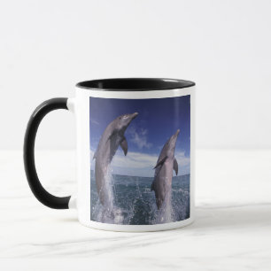 Mug Caraïbes, dauphins de Bottlenose Tursiops