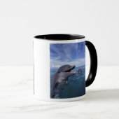 Mug Caraïbes, Grand dauphin (Devant droit)