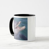 Mug Caraïbes, Grand dauphin (Devant gauche)