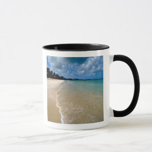 Mug Caraïbes, îles Sous-le-Vent, Antigua, Dickenson