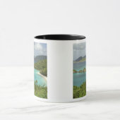 Mug Caraïbes, îles Vierges américaines, St. John, Trun (Centre)