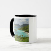 Mug Caraïbes, îles Vierges américaines, St. John, Trun (Devant gauche)