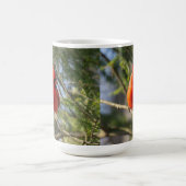 Mug Cardinal Bright (Centre)