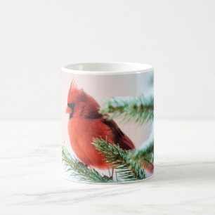 Mug Cardinal dans le sapin épousseté par neige