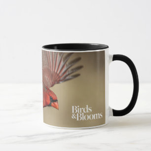 Mug Cardinal du nord en vol