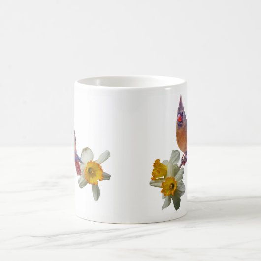 Mug Cardinal et Daffodiles - (Centre)