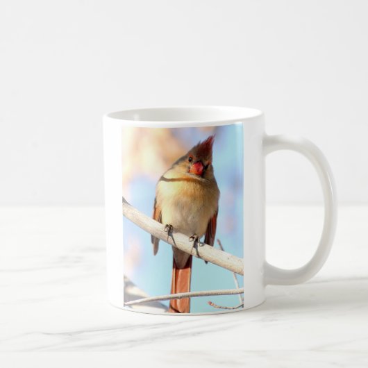 Mug Cardinal femelle vous regardant (Droite)