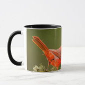 Mug Cardinal mâle sur une branche (Gauche)