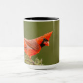Mug Cardinal mâle sur une branche (Centre)