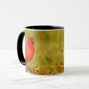 Mug Cardinal masculin sur le journal