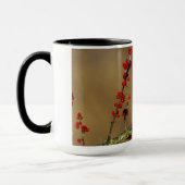 Mug Cardinal rouge mâle perché, IL (Gauche)