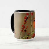 Mug Cardinal rouge mâle perché, IL (Devant gauche)