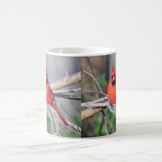 Mug Cardinal Spring Woods (Centre)