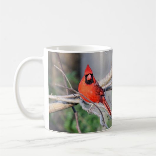 Mug Cardinal Spring Woods (Gauche)