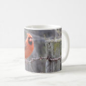 Mug Cardinal sur le barbelé (Devant droit)