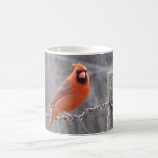 Mug Cardinal sur le barbelé