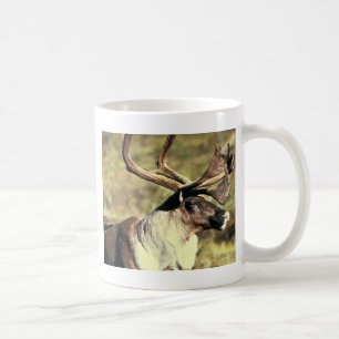 Mug Caribou