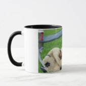 Mug Carlin noir humide (Gauche)