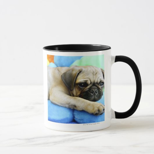 Mug Carlin s'étendant sur des coussins (Droite)