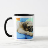 Mug Carlin s'étendant sur des coussins (Gauche)