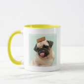 Mug Carlin veut des cures (Gauche)
