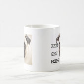 Mug Carlins et non drogues (Centre)