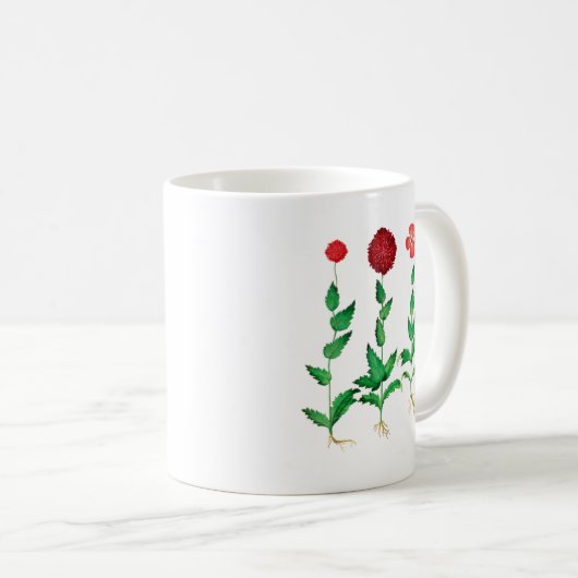 Mug Carnation italienne 2 (Devant droit)
