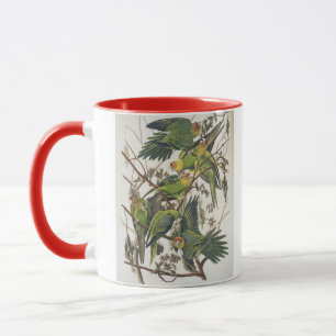 Mug Carolina Parakeet, de 'Birds of America', 1829