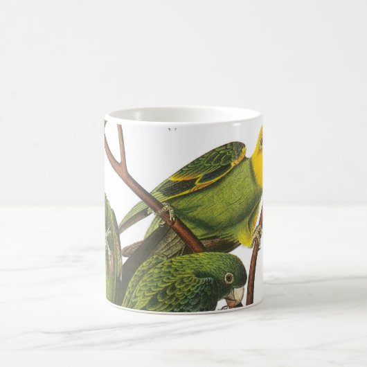 Mug Carolina Parakeet par Audubon (Centre)