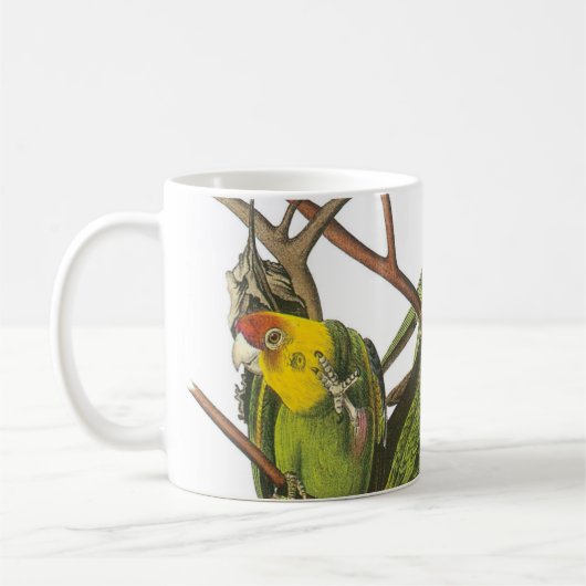 Mug Carolina Parakeet par Audubon (Gauche)