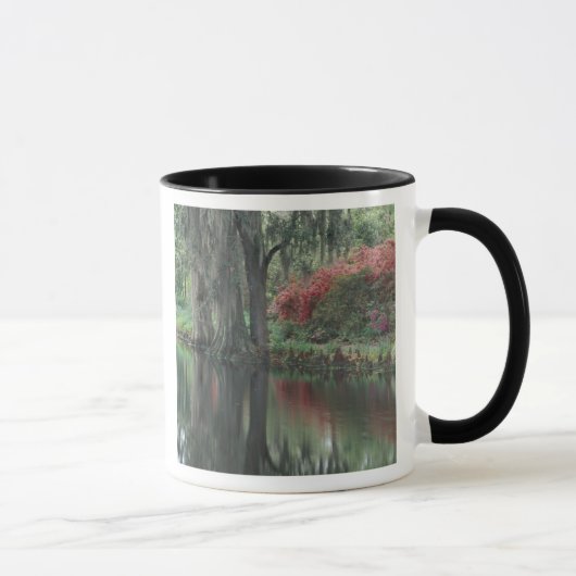 Mug Caroline du Sud, Charleston (Droite)