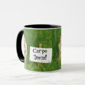 Mug Carpe Diem ! Tamia avec le signe (Devant gauche)