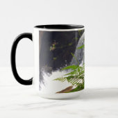 Mug Cascade Blue Ridge Mountains NC Photographie (Gauche)