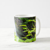 Mug Cascade de Hell's Gate Canyon (Devant droit)