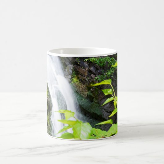 Mug Cascade de Hell's Gate Canyon (Centre)