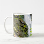 Mug Cascade de Hell's Gate Canyon (Gauche)