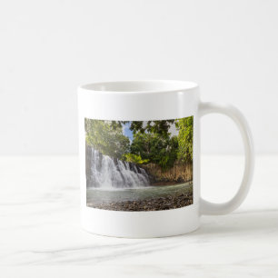 Mug Cascade de Rochester Falls à Souillac Maurice