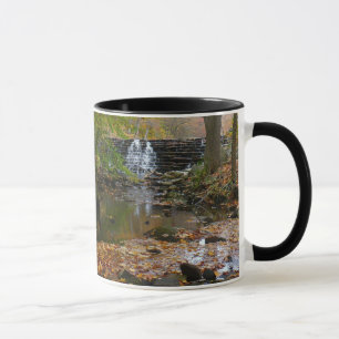 Mug Cascade et ruisseau d'automne en Pennsylvanie Natu