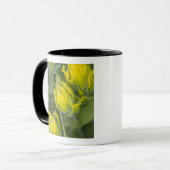Mug Castilléjie dorée indienne (Devant gauche)