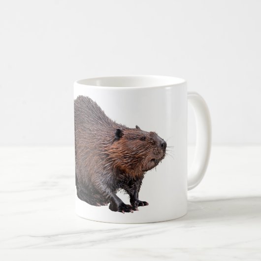 Mug Castor nord-américain isolé (Devant droit)