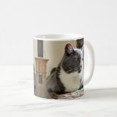 Mug Cat (Devant droit)