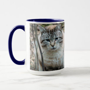 Mug Cat