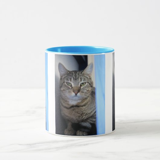 Mug Cat (Centre)